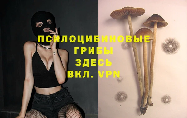 соль ск Алзамай