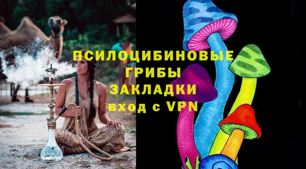 соль ск Алзамай