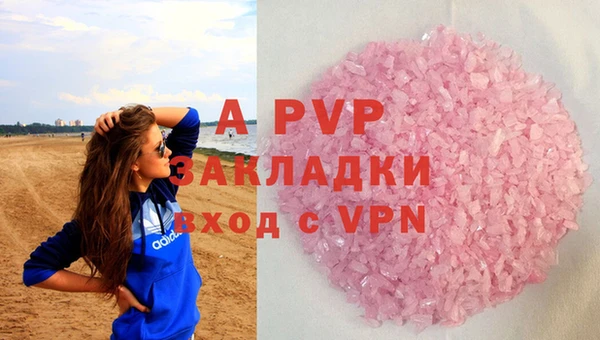 СК Алексин