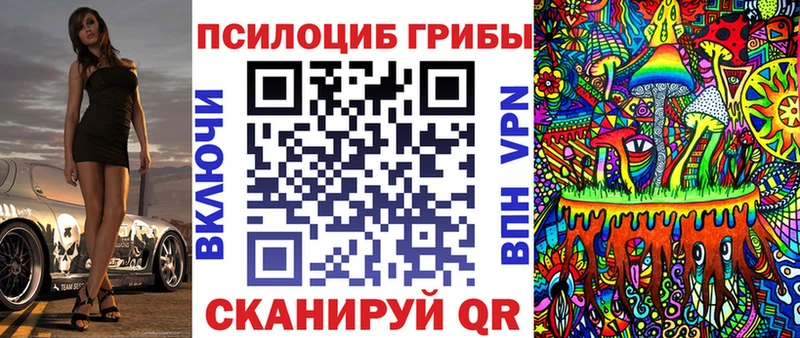 где можно купить   Амурск  MEGA онион  Галлюциногенные грибы Magic Shrooms 